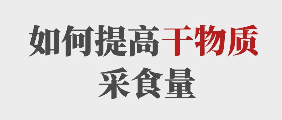 做到這5點提高育肥牛的干物質(zhì)采食量！